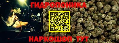 твердый Новодвинск