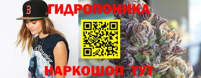 альфа пвп Новокубанск