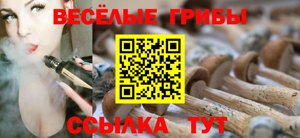Псилоцибиновые грибы MAGIC MUSHROOMS Тула